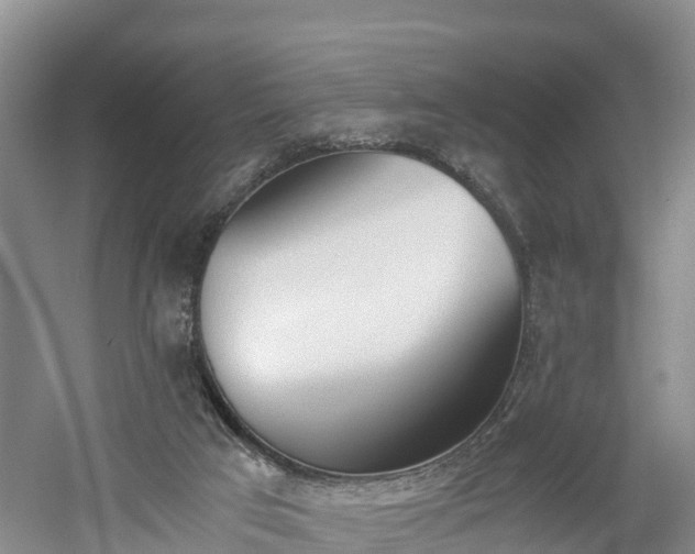 X0000060800017200511171254