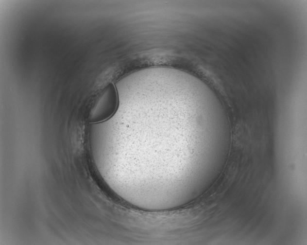 X0000060800018200511171254