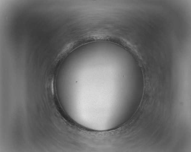 X0000060800019200511171254