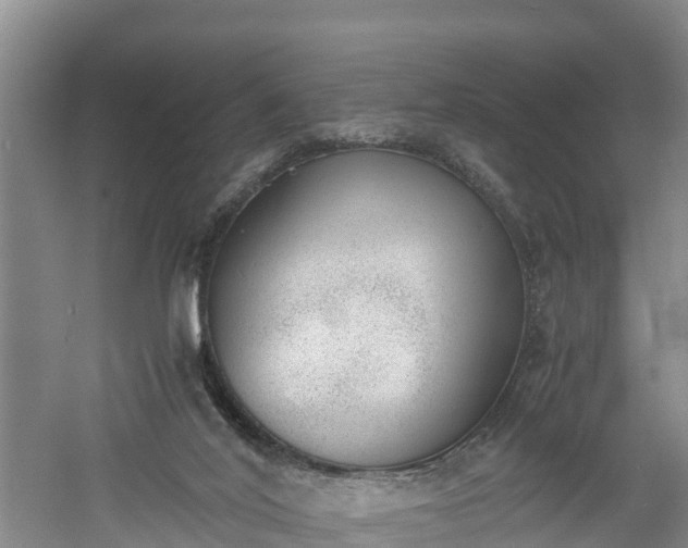 X0000060800020200511171254