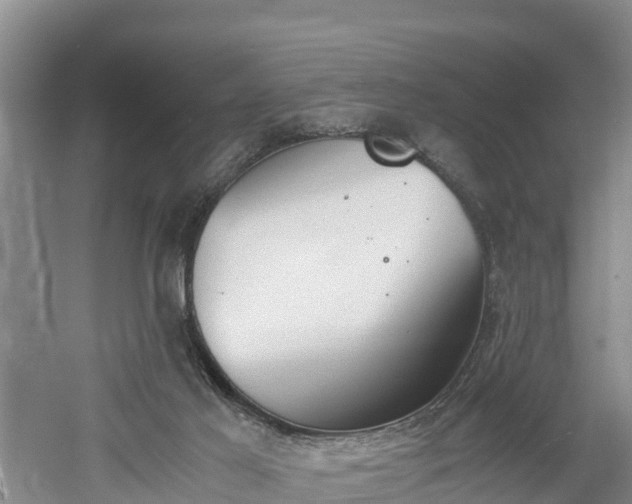 X0000060800021200511171254