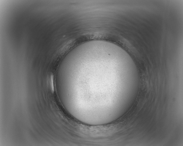 X0000060800022200511171254