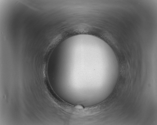 X0000060800023200511171254