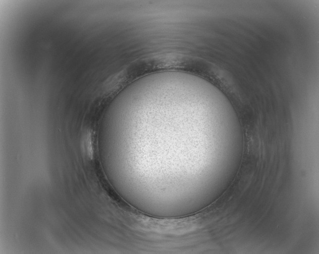 X0000060800026200511171254