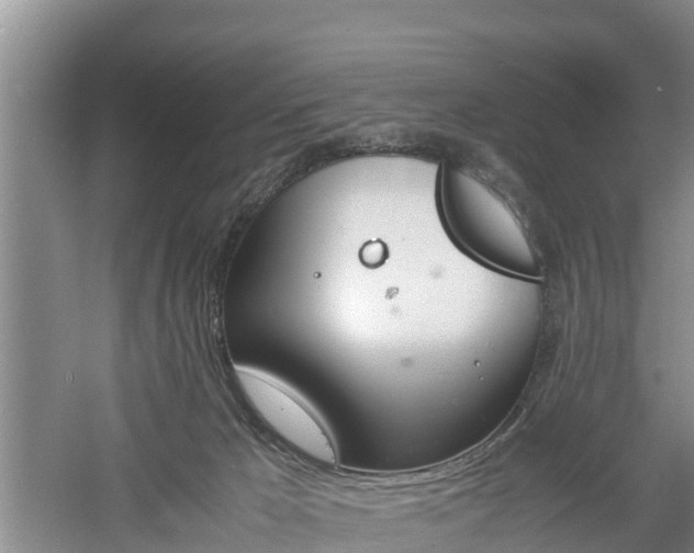 X0000060800029200511171254