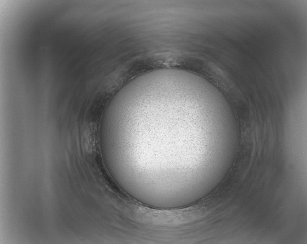 X0000060800030200511171254