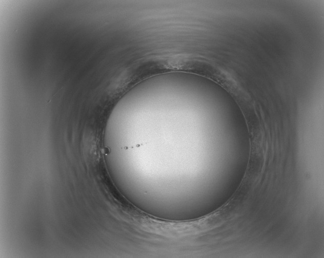 X0000060800031200511171254