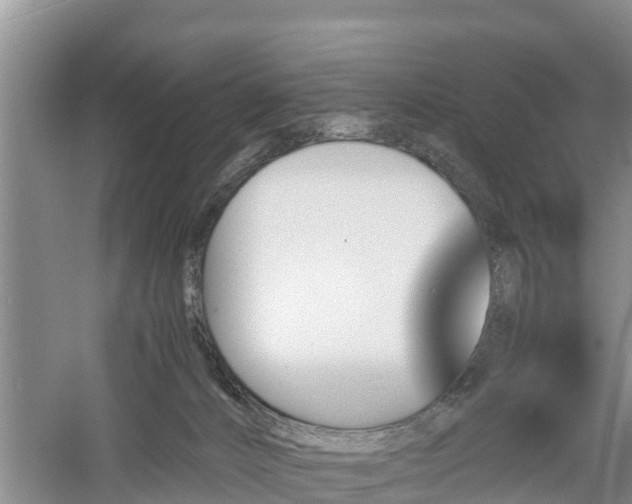 X0000060800032200511171254