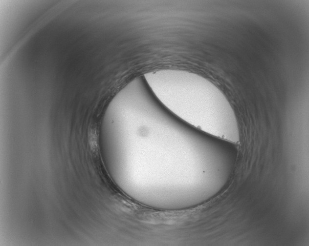 X0000060800033200511171253