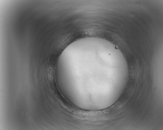 X0000060800036200511171253