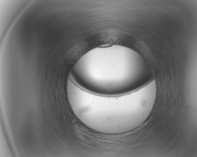 X0000060800037200511171253