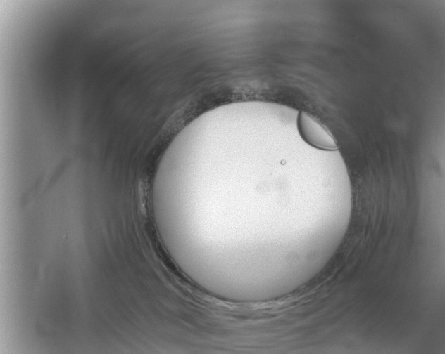 X0000060800038200511171253