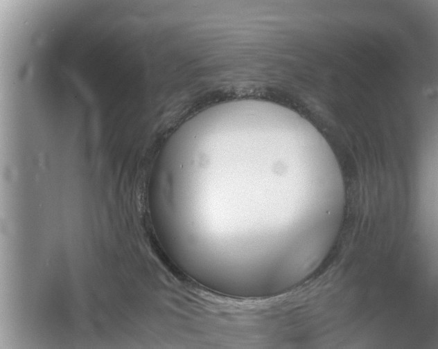 X0000060800039200511171253