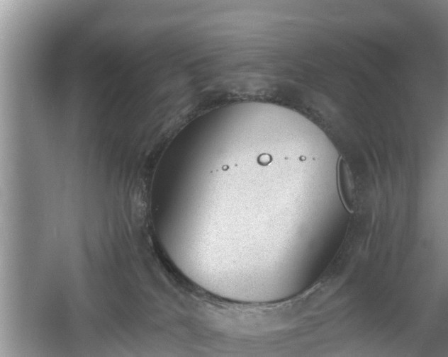 X0000060800040200511171253