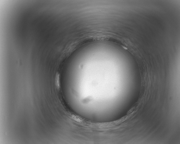 X0000060800041200511171253