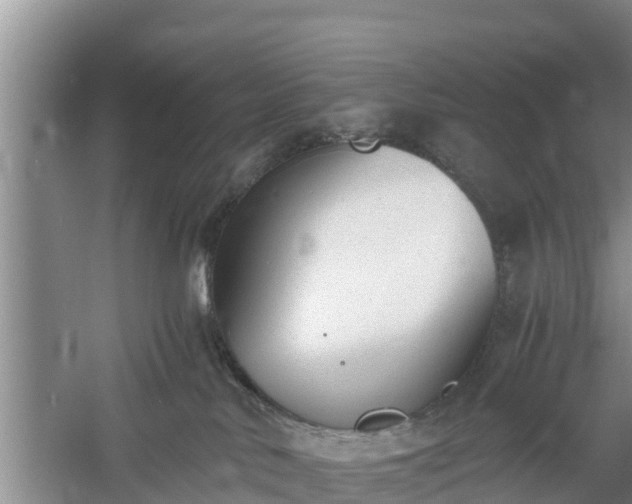 X0000060800042200511171253