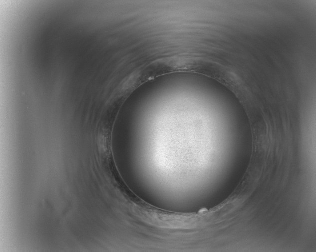 X0000060800044200511171253