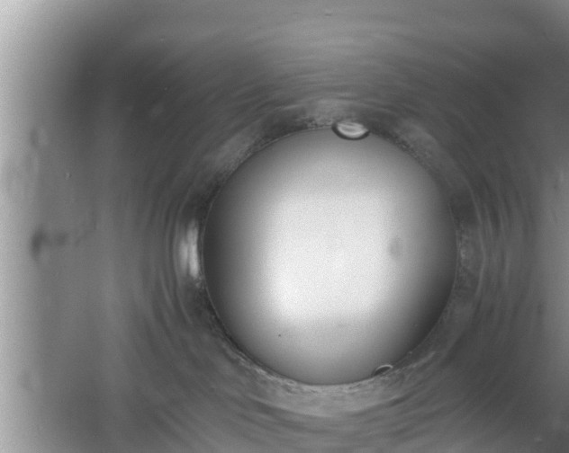 X0000060800046200511171253