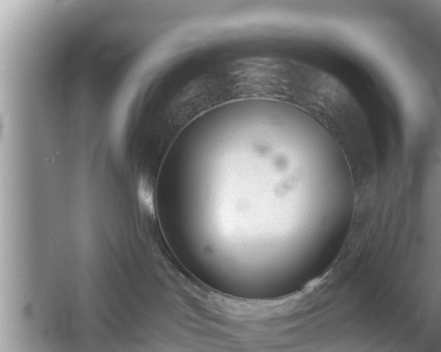 X0000060800047200511171253