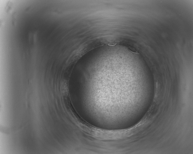 X0000060800048200511171253