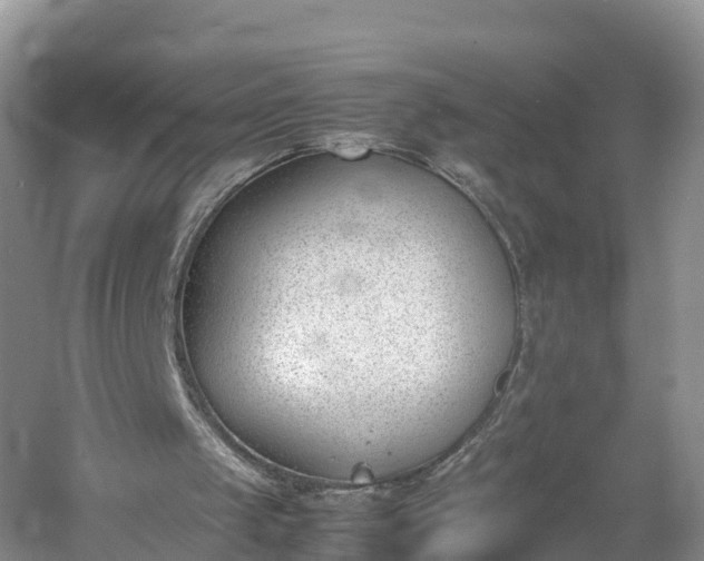 X0000060800049200511171252