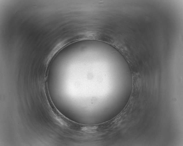 X0000060800051200511171252