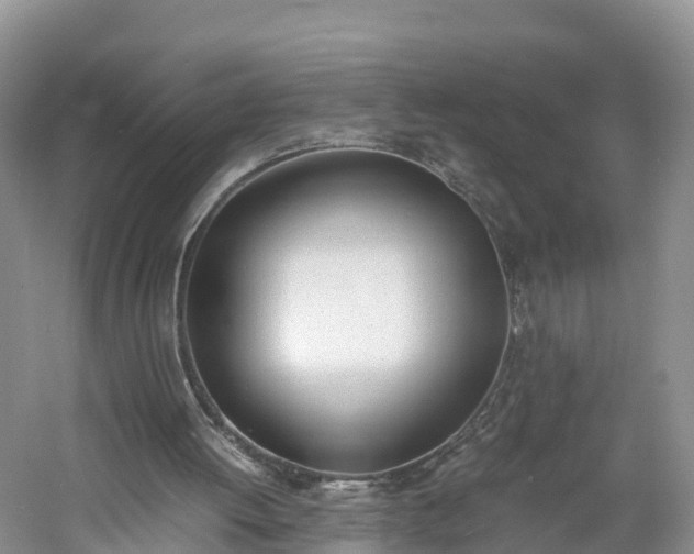 X0000060800052200511171252