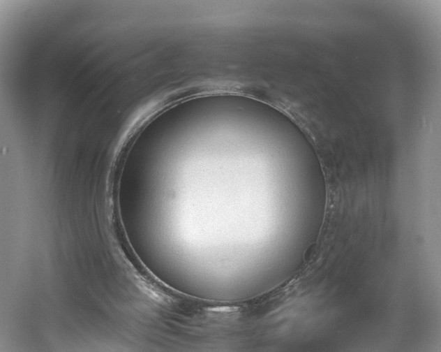 X0000060800053200511171252