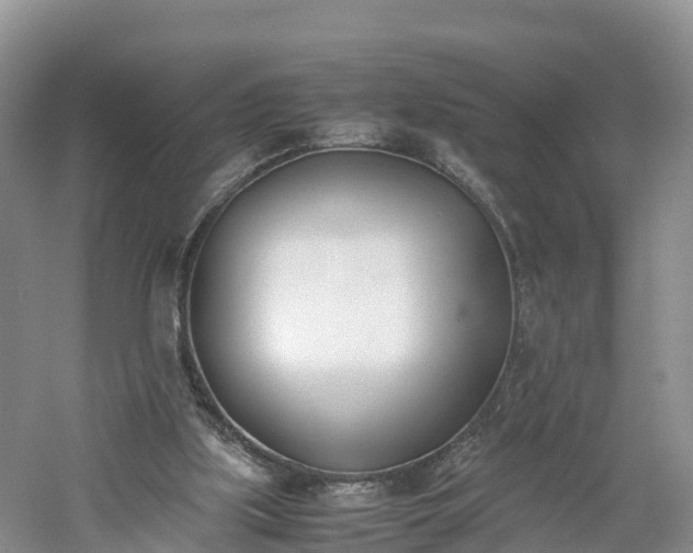 X0000060800059200511171253