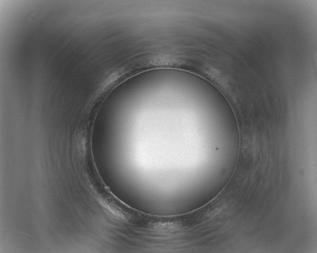 X0000060800063200511171253