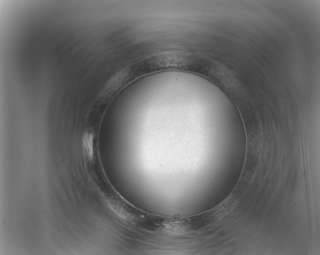 X0000060800070200511171253