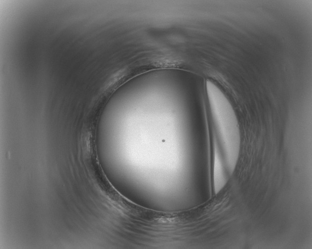 X0000060800071200511171253