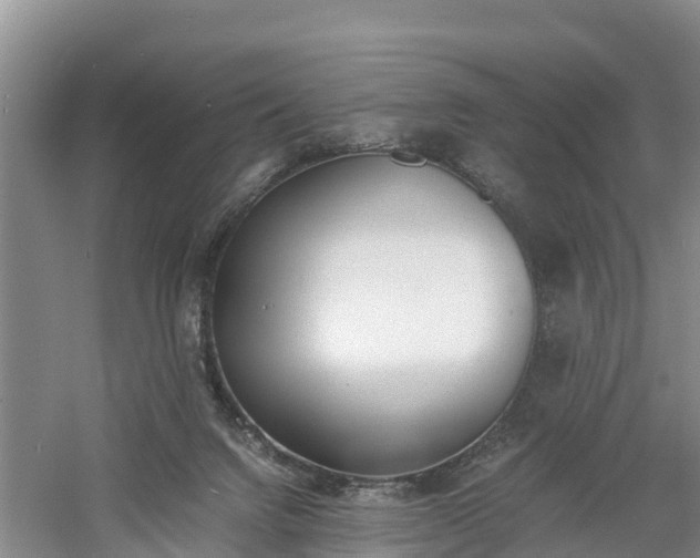 X0000060800072200511171253