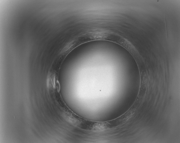 X0000060800076200511171253