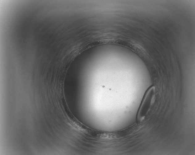 X0000060800077200511171253