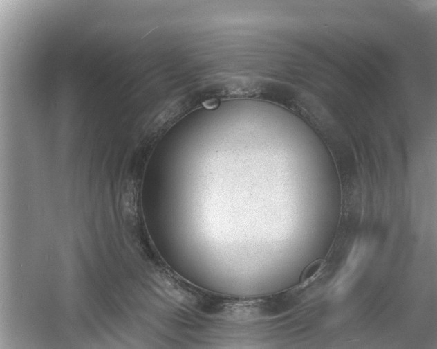 X0000060800078200511171253