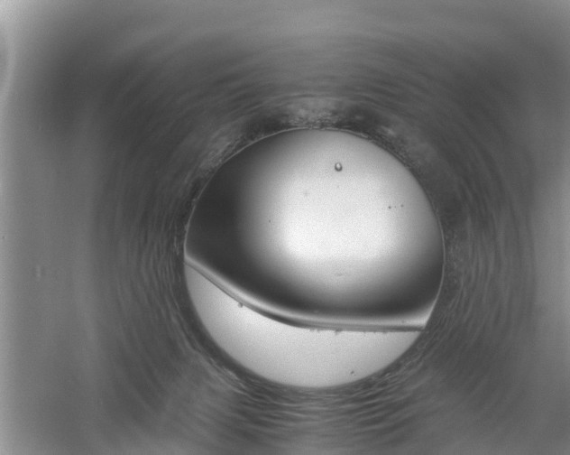 X0000060800079200511171253