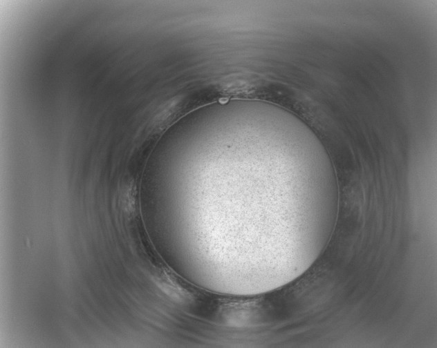 X0000060800081200511171253