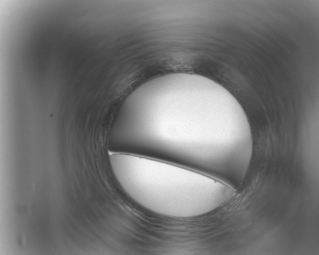 X0000060800084200511171253