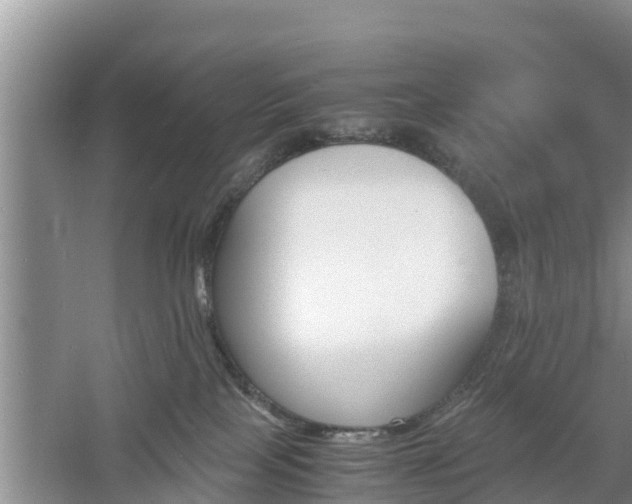 X0000060800089200511171253