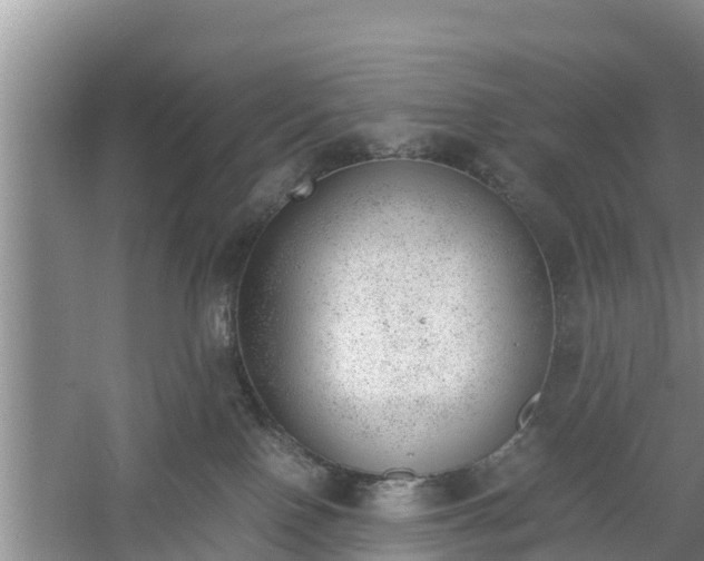 X0000060800090200511171253