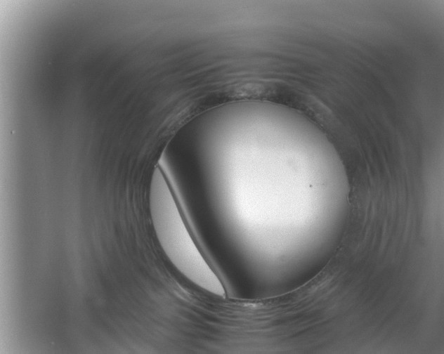 X0000060800091200511171253