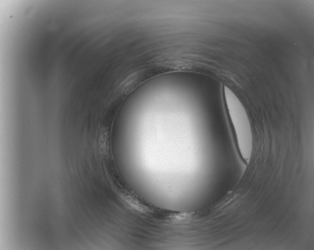 X0000060800092200511171253