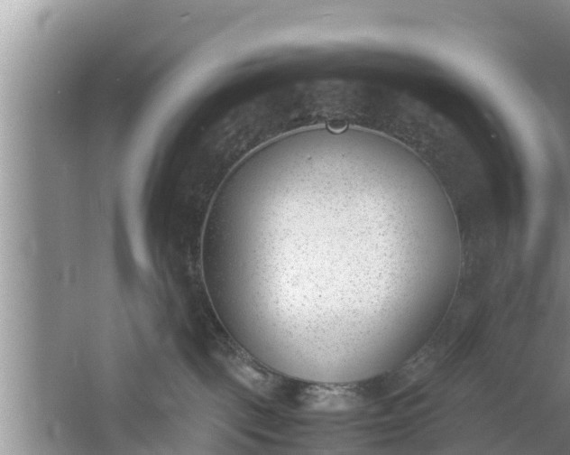 X0000060800093200511171253