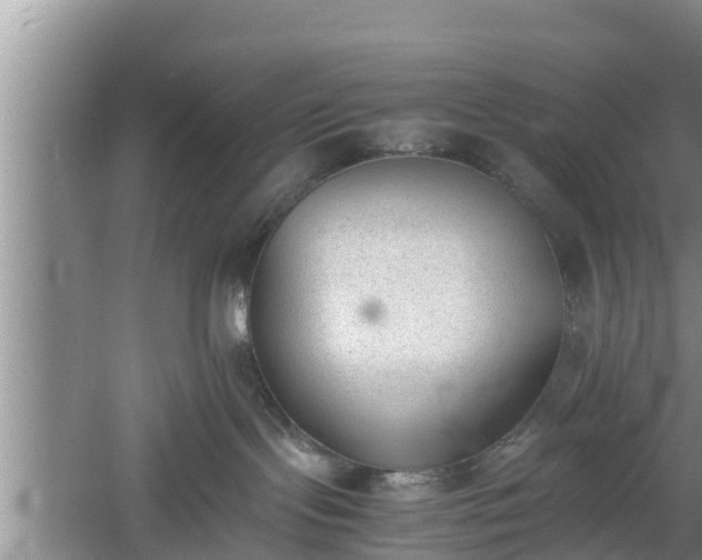 X0000060800095200511171253