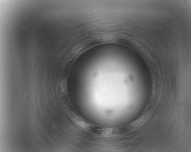 X0000060800096200511171253