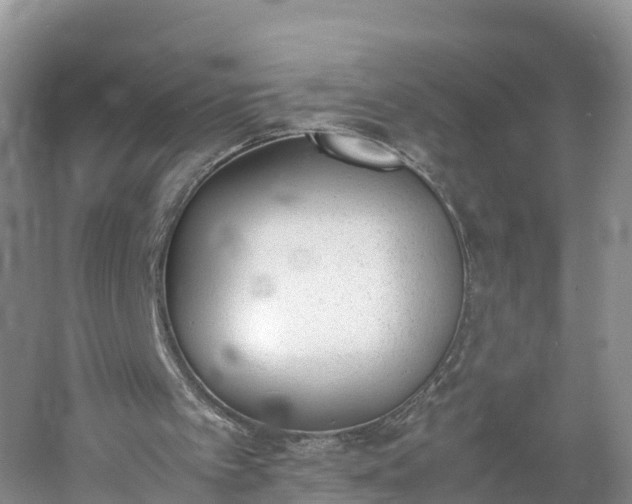 X0000060800097200511171252