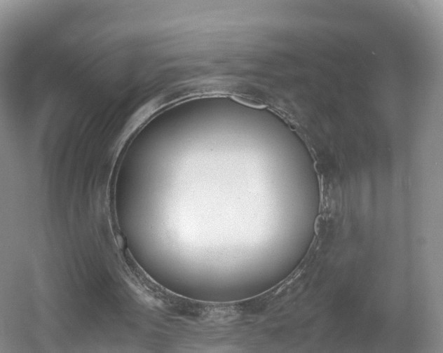 X0000060800099200511171252