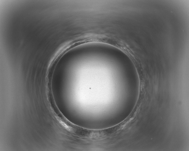 X0000060800101200511171252