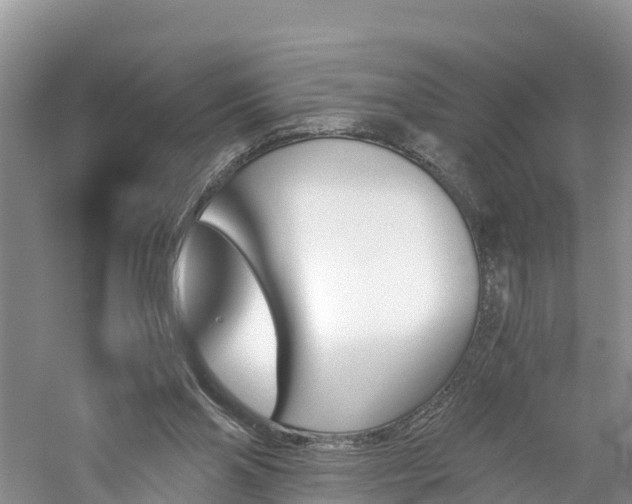 X0000060800110200511171252